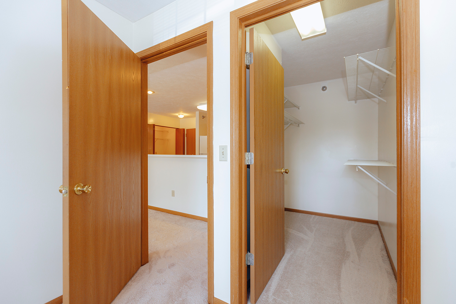 Walk-in closet in Sunburst Floorplan: 2 bedroom 972 sq ft